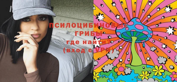 сатива Алексин