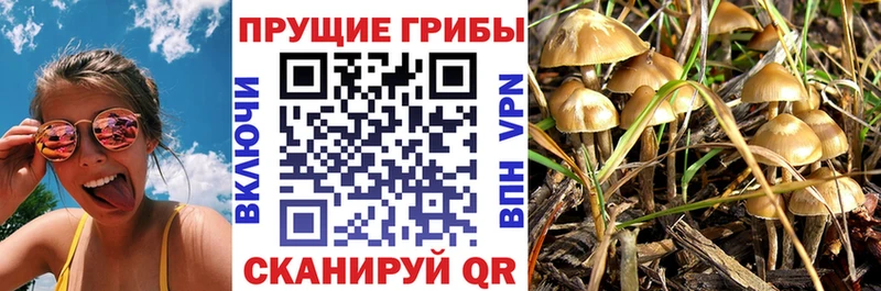 Купить  Усть-Лабинск  Псилоцибиновые грибы Magic Shrooms 